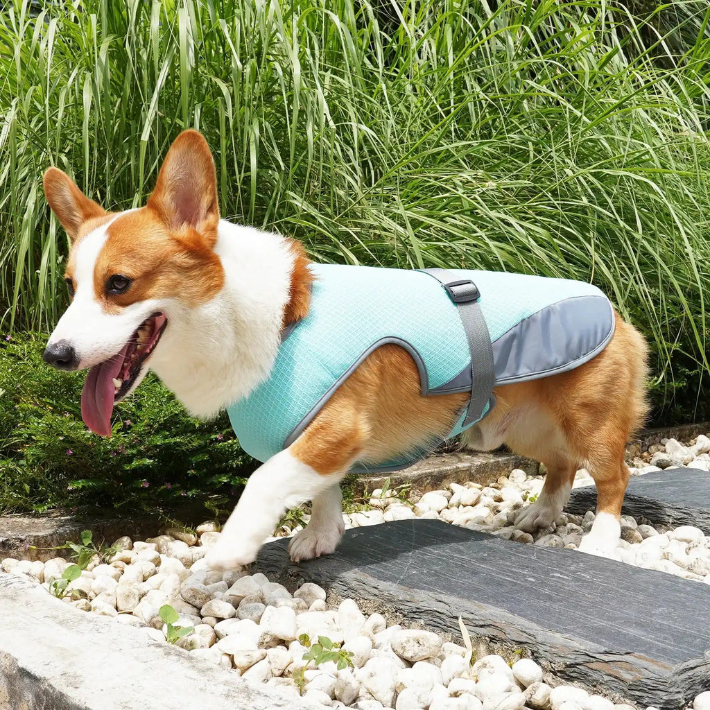 Breathable Dog Cooling Vest – Adjustable Summer Jacket Pawnests