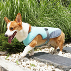 Breathable Dog Cooling Vest – Adjustable Summer Jacket Pawnests