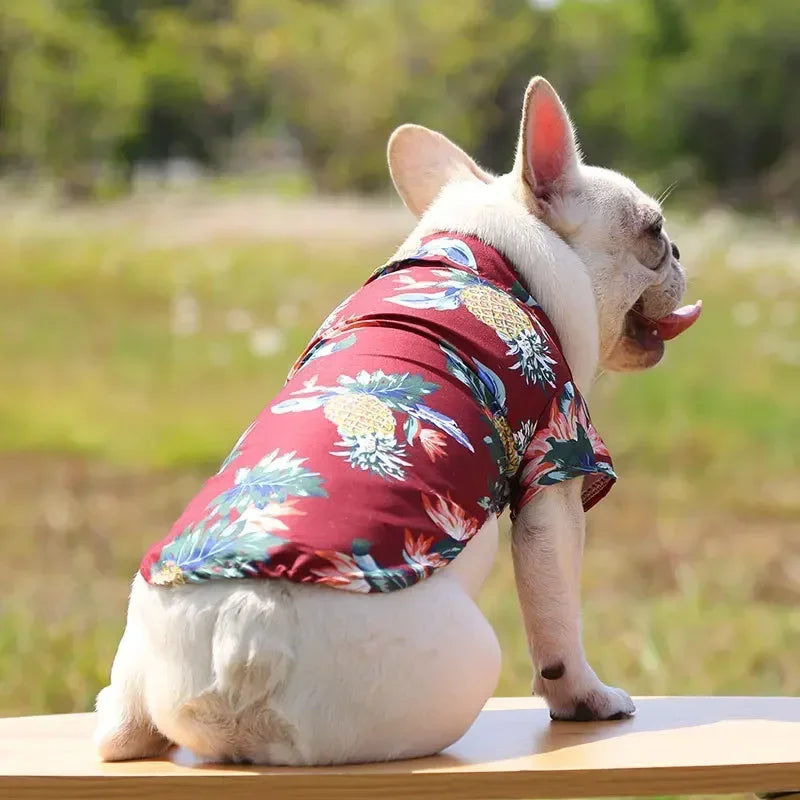 Hawaiian Beach Dog and Cat Shirt – Breezy summer style Pawnests
