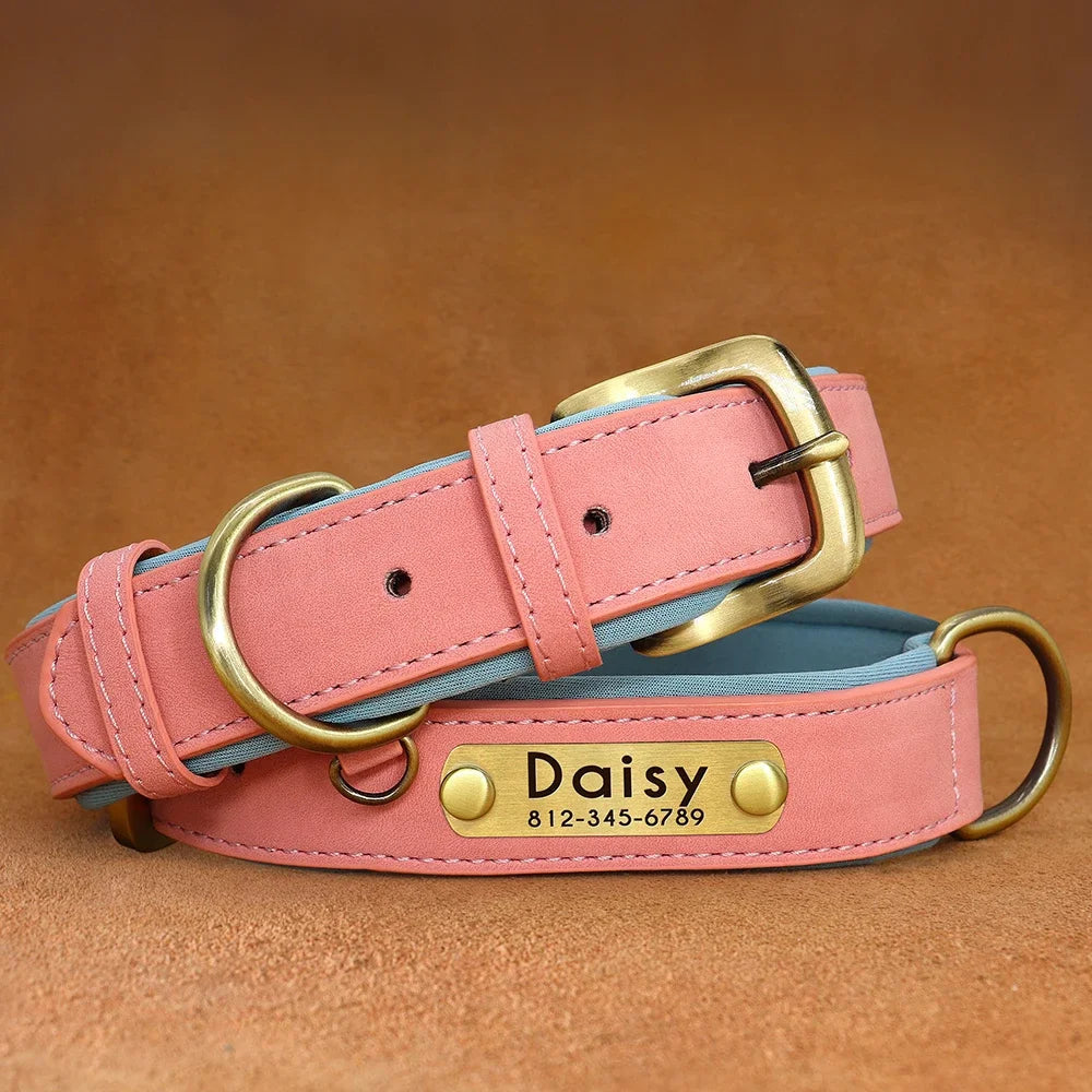 PawNests Choice: The Signature Leather Collar Best of Premium Pet Comfort Pawnests