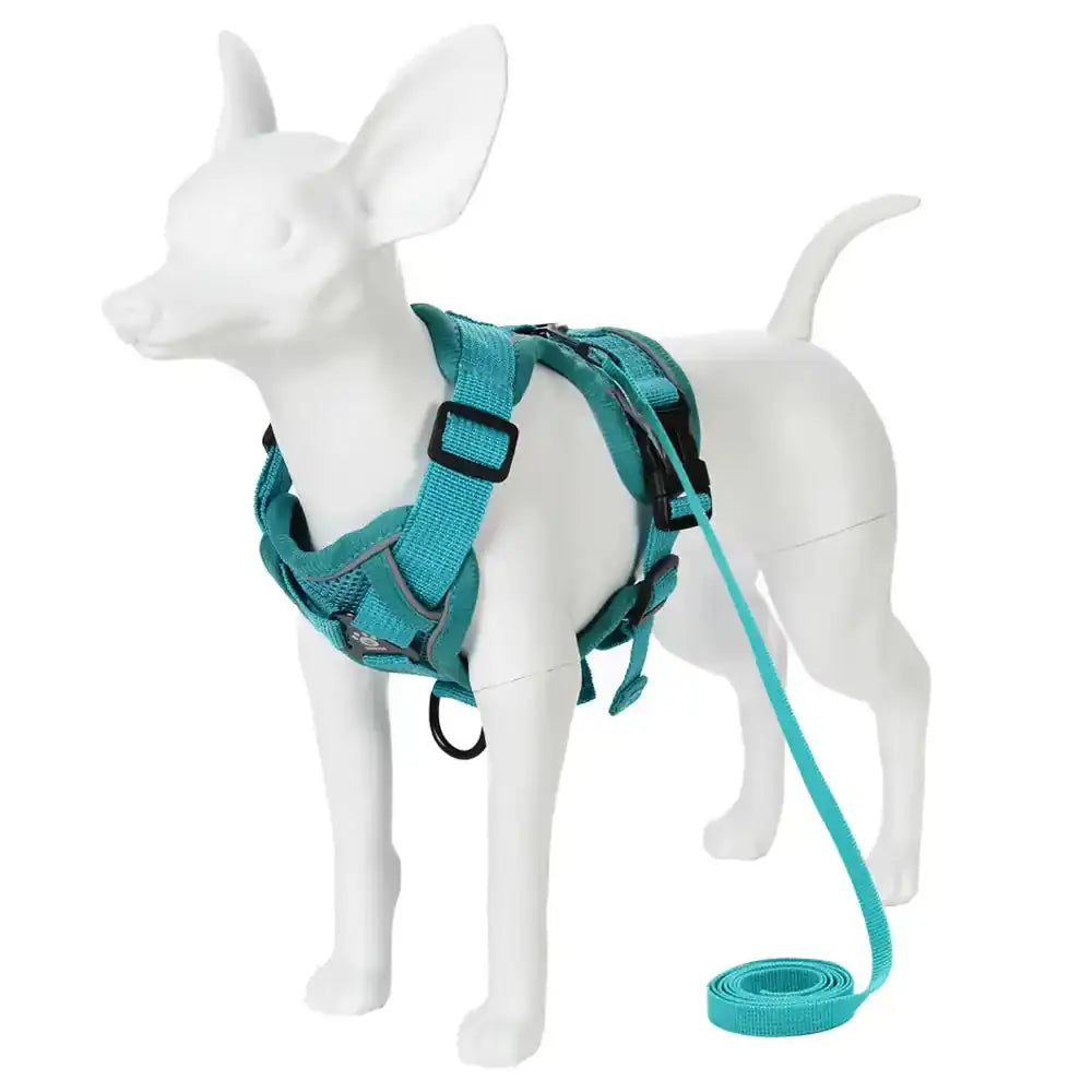 Pawnests Aura | Reflective Breathable Pet Harness & Leash Set Pawnests