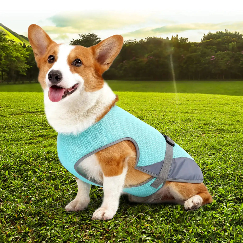Breathable Dog Cooling Vest – Adjustable Summer Jacket Pawnests