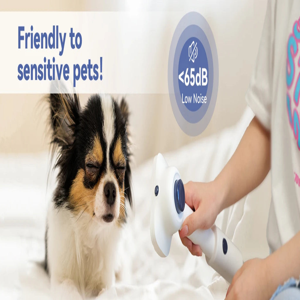 Small dog lying on a bed next to a person holding a white device with blue accents, labeled 'Friendly to sensitive pets' and 'Low Noise <65dB'.