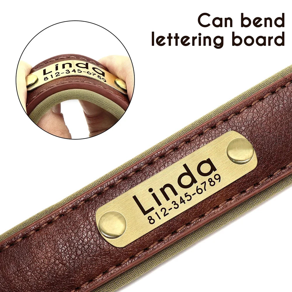 PawNests Choice: The Signature Leather Collar Best of Premium Pet Comfort Pawnests