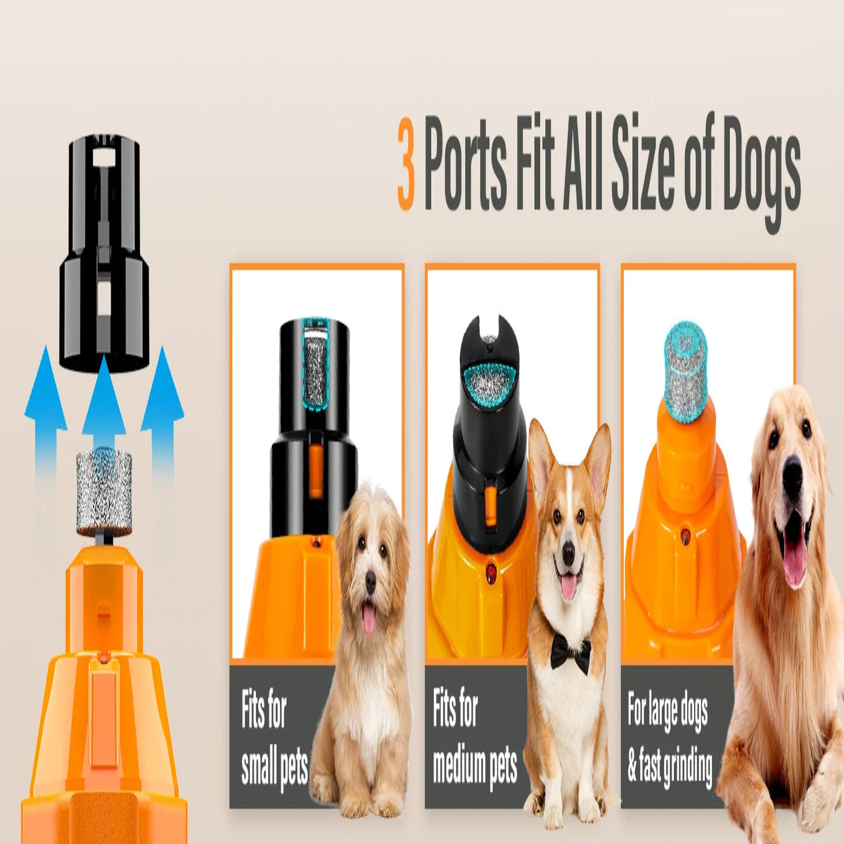 Dog product with adjustable ports for different dog sizes on a beige background