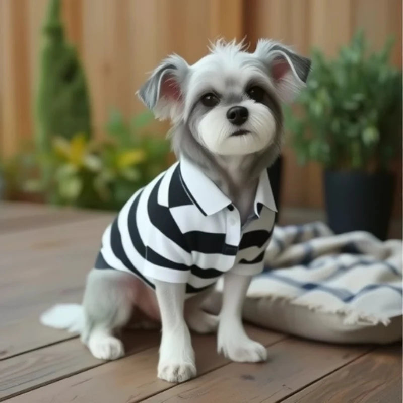Casual Pet Polo Shirt Pawnests