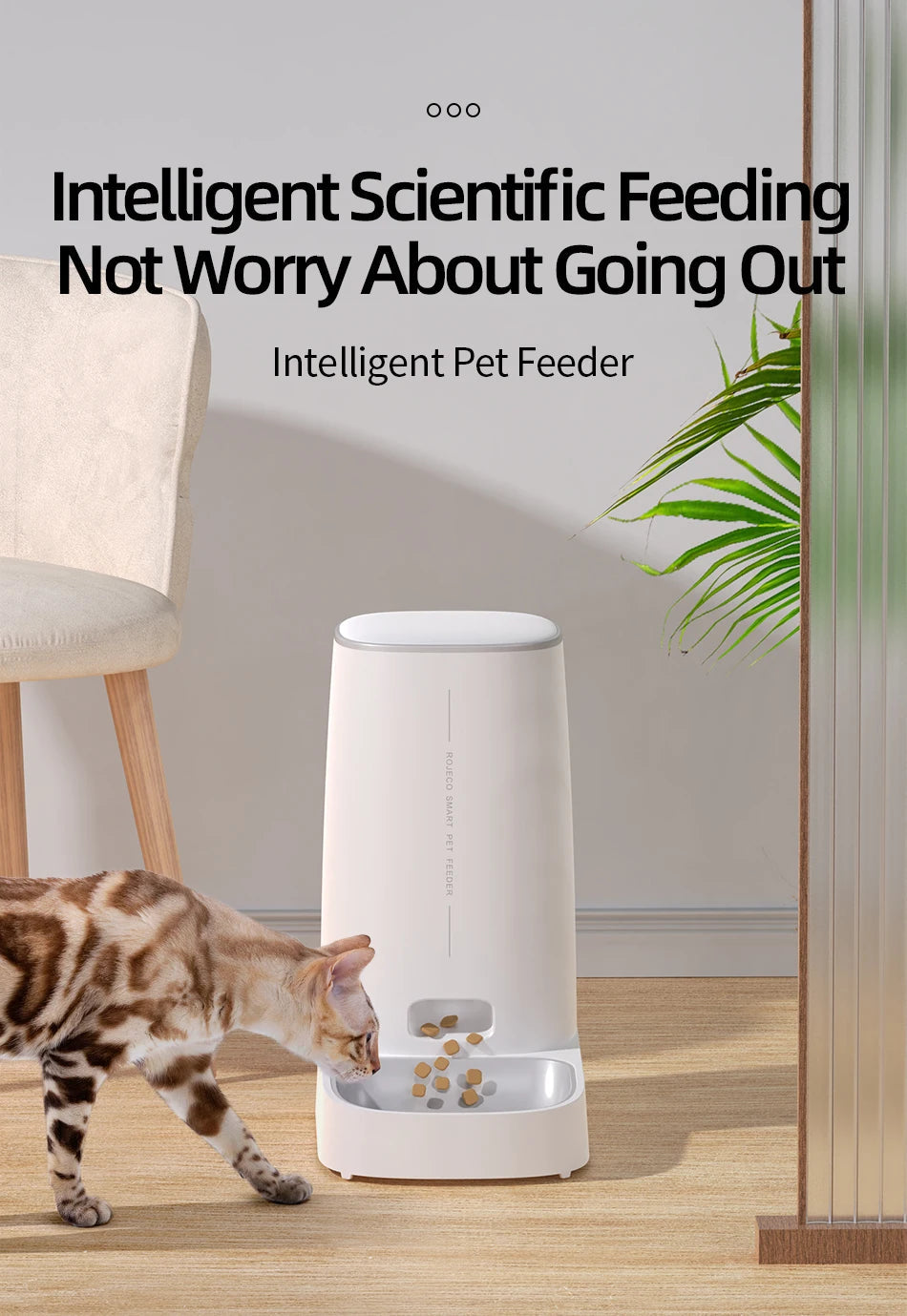 ROJECO Automatic Cat Feeder Pet Smart WiFi Cat Food Dispenser Pawnests
