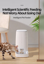 ROJECO Automatic Cat Feeder Pet Smart WiFi Cat Food Dispenser Pawnests