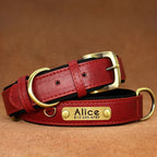PawNests Choice: The Signature Leather Collar Best of Premium Pet Comfort Pawnests