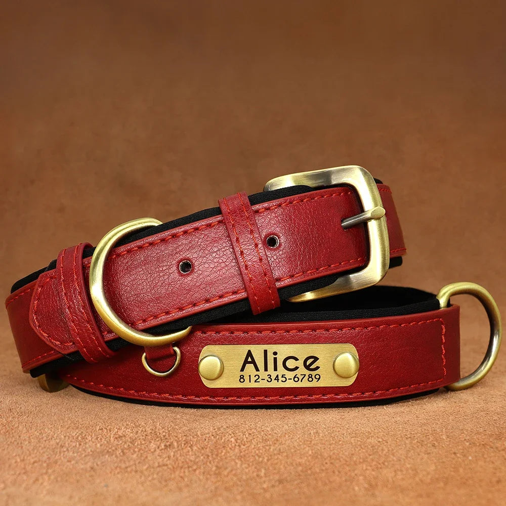 PawNests Choice: The Signature Leather Collar Best of Premium Pet Comfort Pawnests