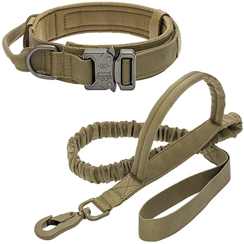 Heavy-duty tactical dog collar close-up — adjustable nylon with metal buckle | Pawnests