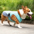 Breathable Dog Cooling Vest – Adjustable Summer Jacket Pawnests