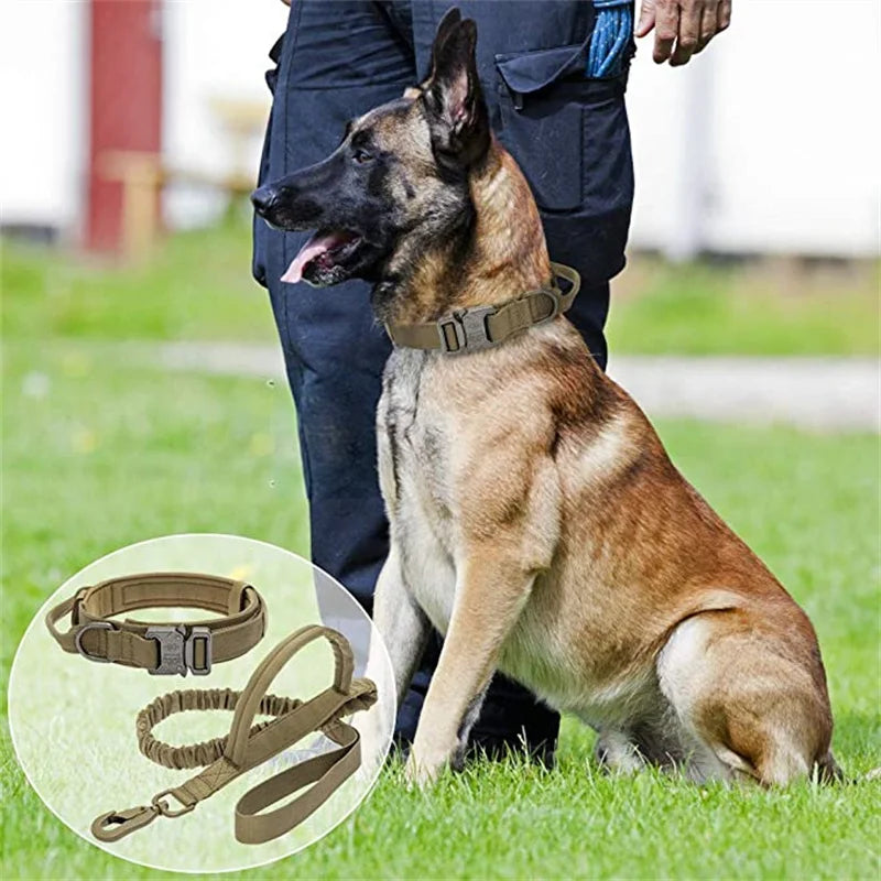 High quality Heavy-Duty Tactical Dog Collar & Leash S Pawnests