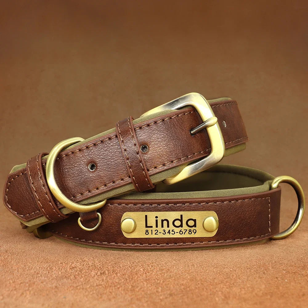 PawNests Choice: The Signature Leather Collar Best of Premium Pet Comfort Pawnests