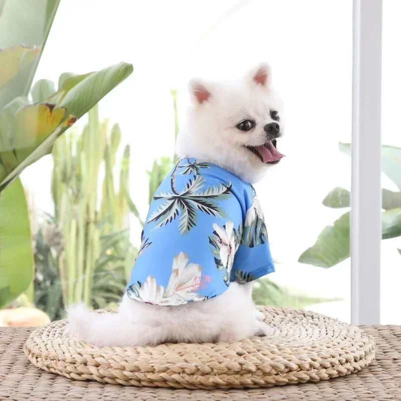 Hawaiian Beach Dog and Cat Shirt – Breezy summer style Pawnests