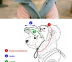 Trendy Pet Sun Hat & Sunglasses Set Pawnests