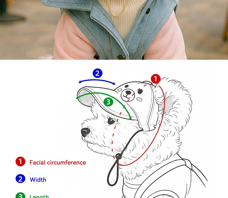 Trendy Pet Sun Hat & Sunglasses Set Pawnests