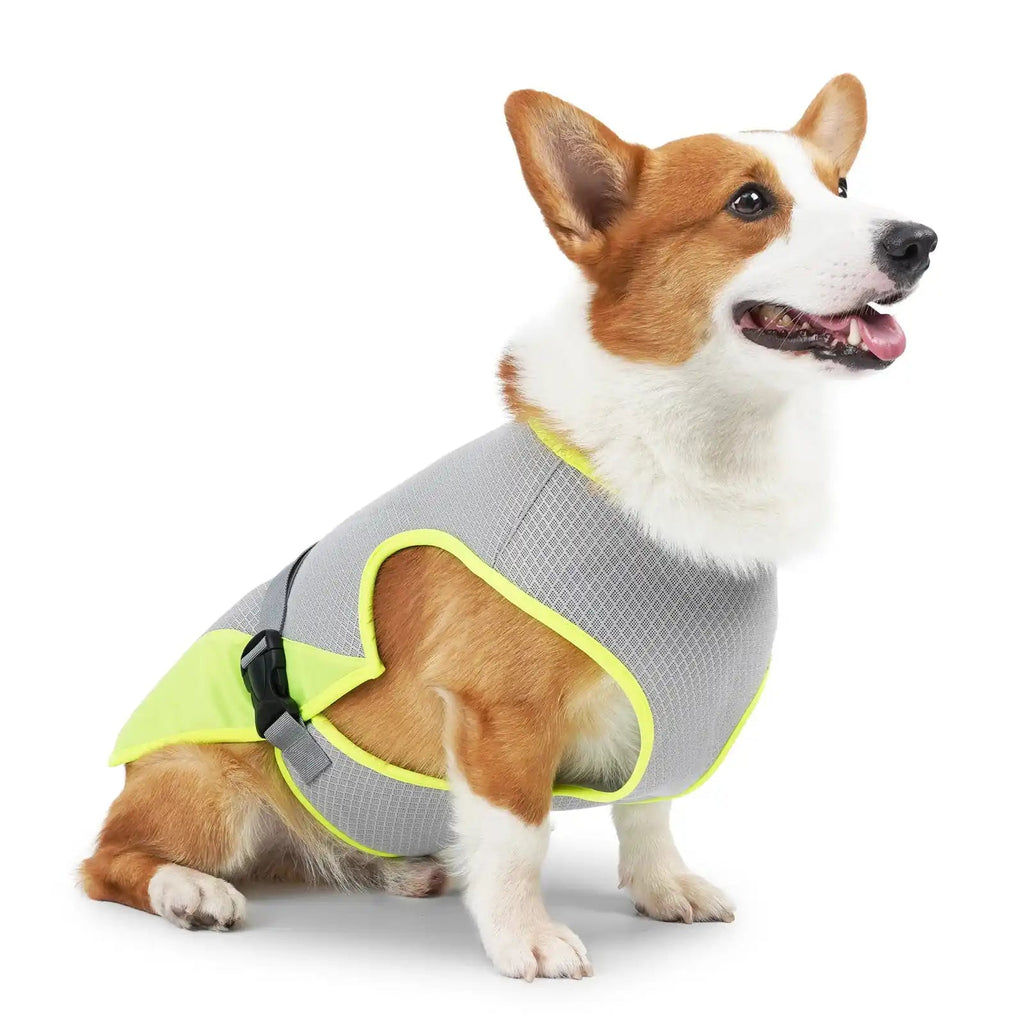 Breathable Dog Cooling Vest – Adjustable Summer Jacket Pawnests
