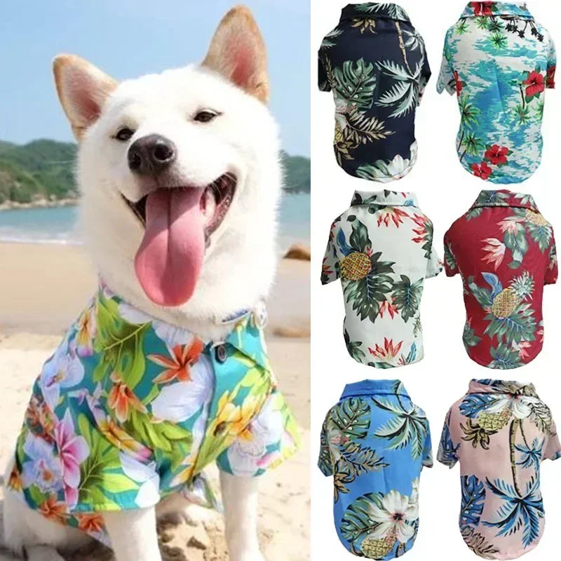Hawaiian Beach Dog and Cat Shirt – Breezy summer style Pawnests