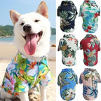 Hawaiian Beach Dog and Cat Shirt – Breezy summer style Pawnests