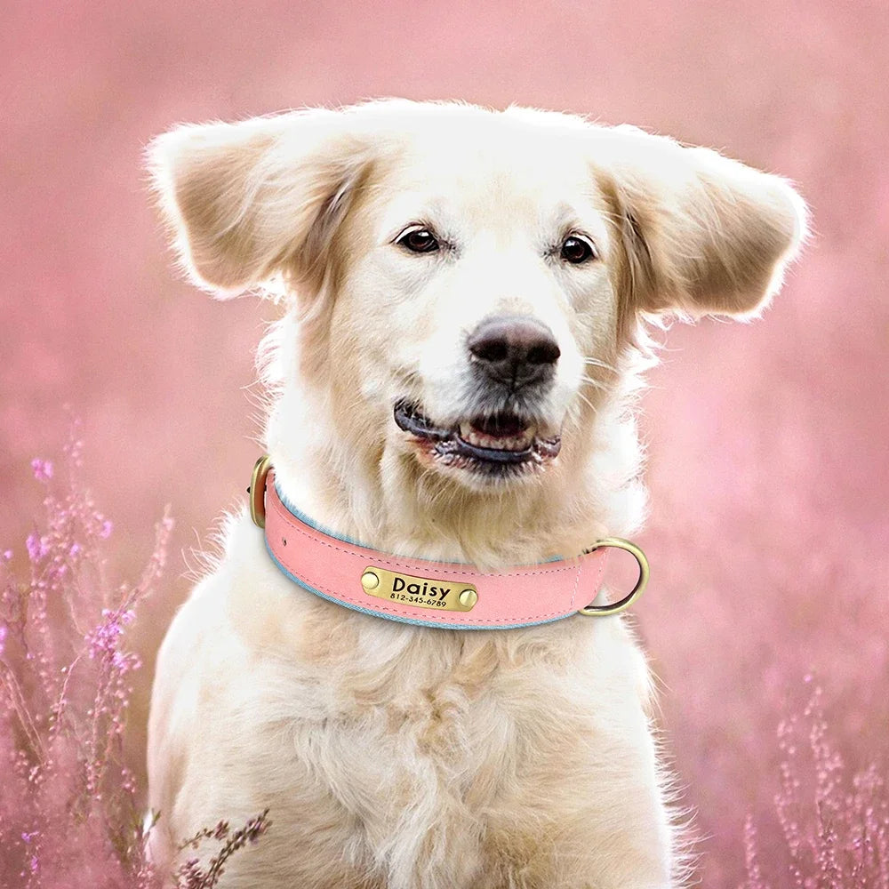 PawNests Choice: The Signature Leather Collar Best of Premium Pet Comfort Pawnests