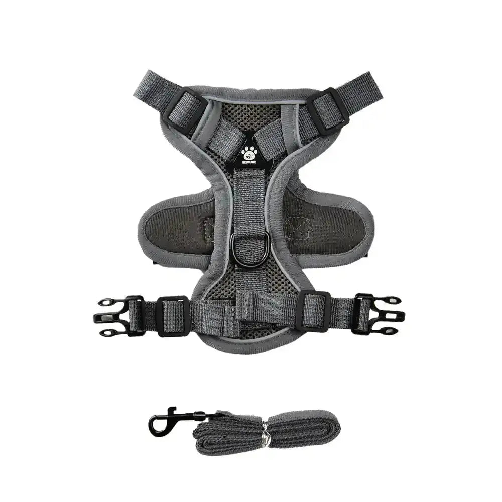 Pawnests Aura | Reflective Breathable Pet Harness & Leash Set Pawnests