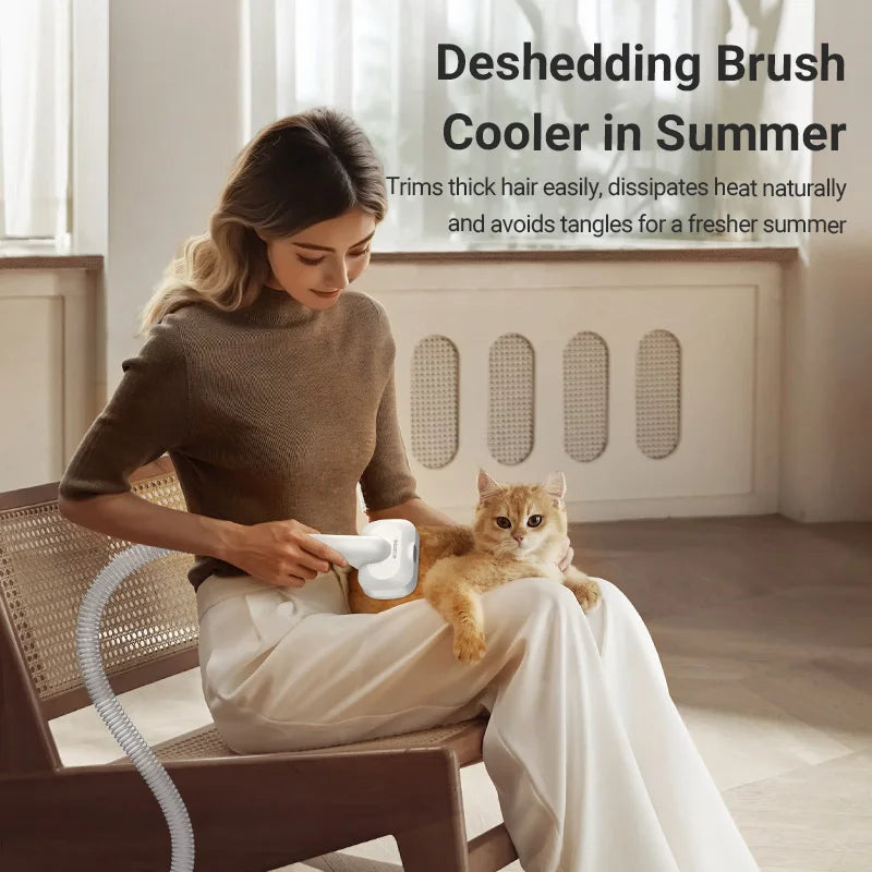 Woman using a deshedding brush cooler on a cat in a room with a window.