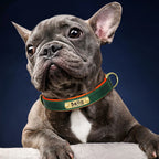 PawNests Choice: The Signature Leather Collar Best of Premium Pet Comfort Pawnests