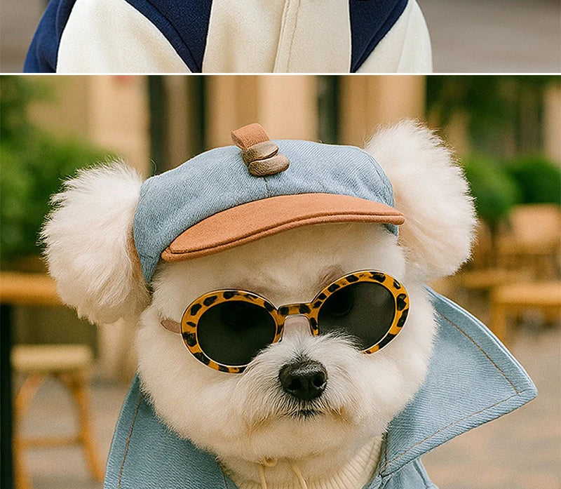 Trendy Pet Sun Hat & Sunglasses Set Pawnests