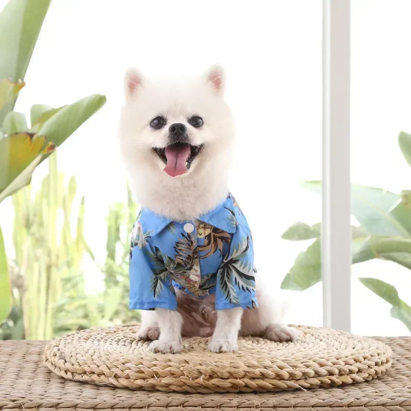 Hawaiian Beach Dog and Cat Shirt – Breezy summer style Pawnests