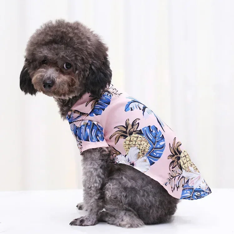 Hawaiian Beach Dog and Cat Shirt – Breezy summer style Pawnests