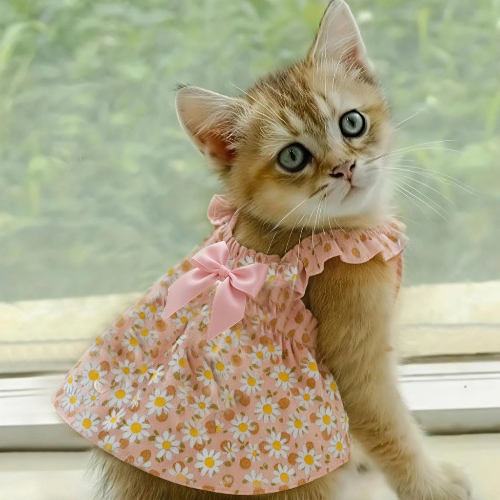 Romantic Pink Floral Pet Summer Dress Pawnests
