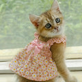 Romantic Pink Floral Pet Summer Dress Pawnests