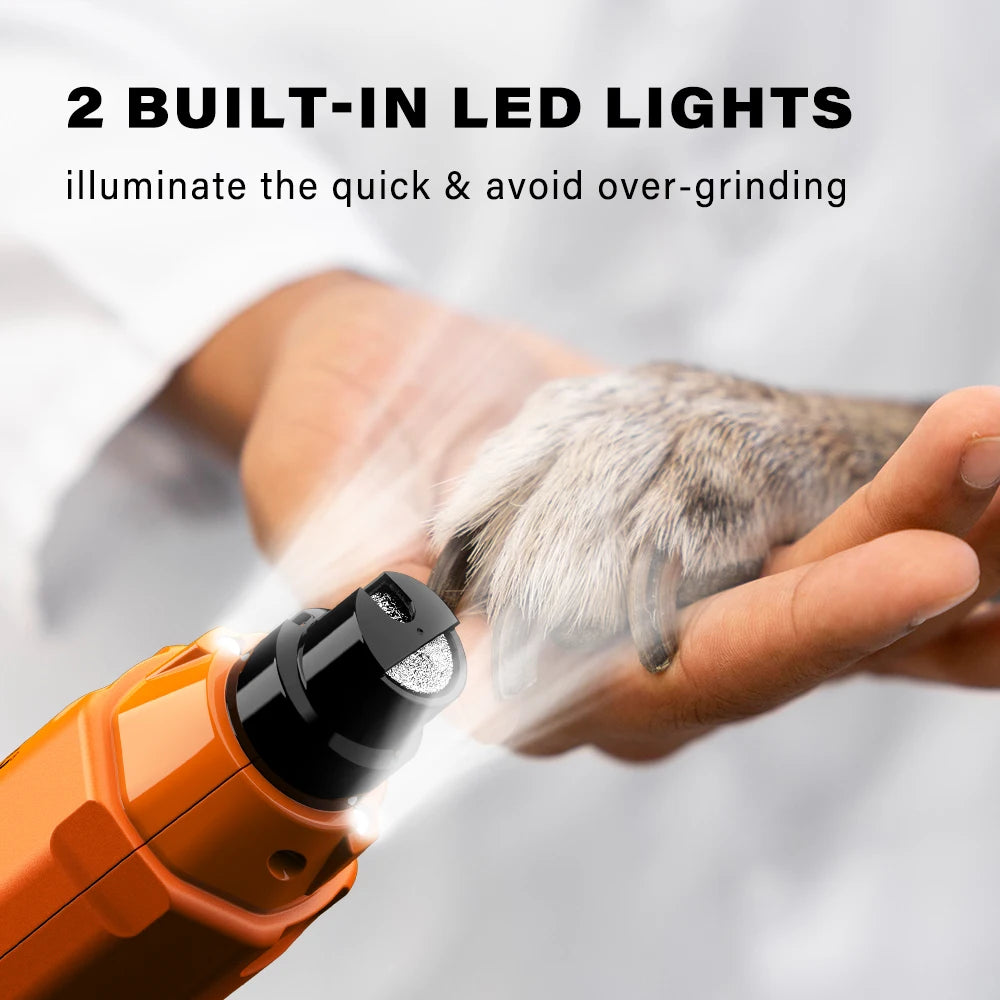 Dog nail grinder with built-in LED lights being used on a dog's paw.