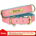 PawNests Choice: The Signature Leather Collar Best of Premium Pet Comfort Pawnests