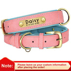 PawNests Choice: The Signature Leather Collar Best of Premium Pet Comfort Pawnests