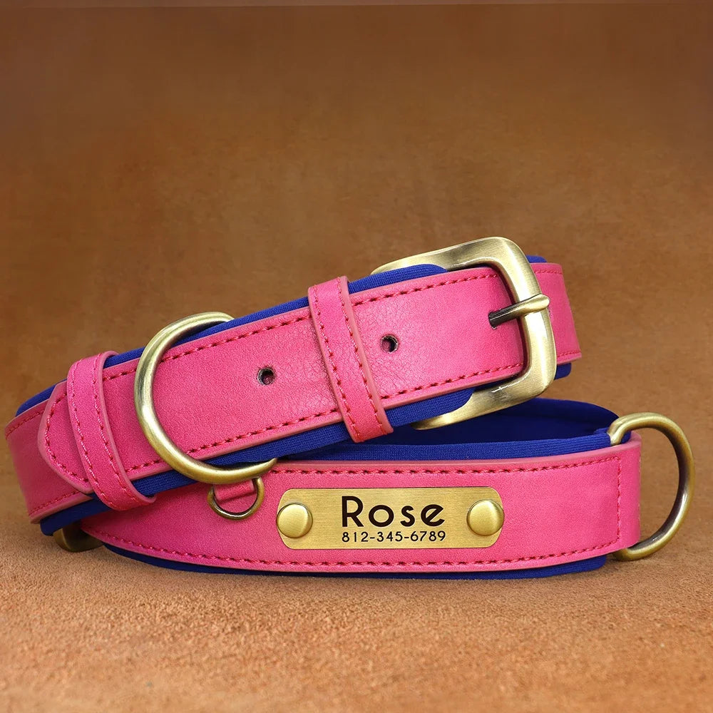 PawNests Choice: The Signature Leather Collar Best of Premium Pet Comfort Pawnests