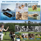 Dog collar advertisement with images of dogs in various scenarios and a woman training a dog.