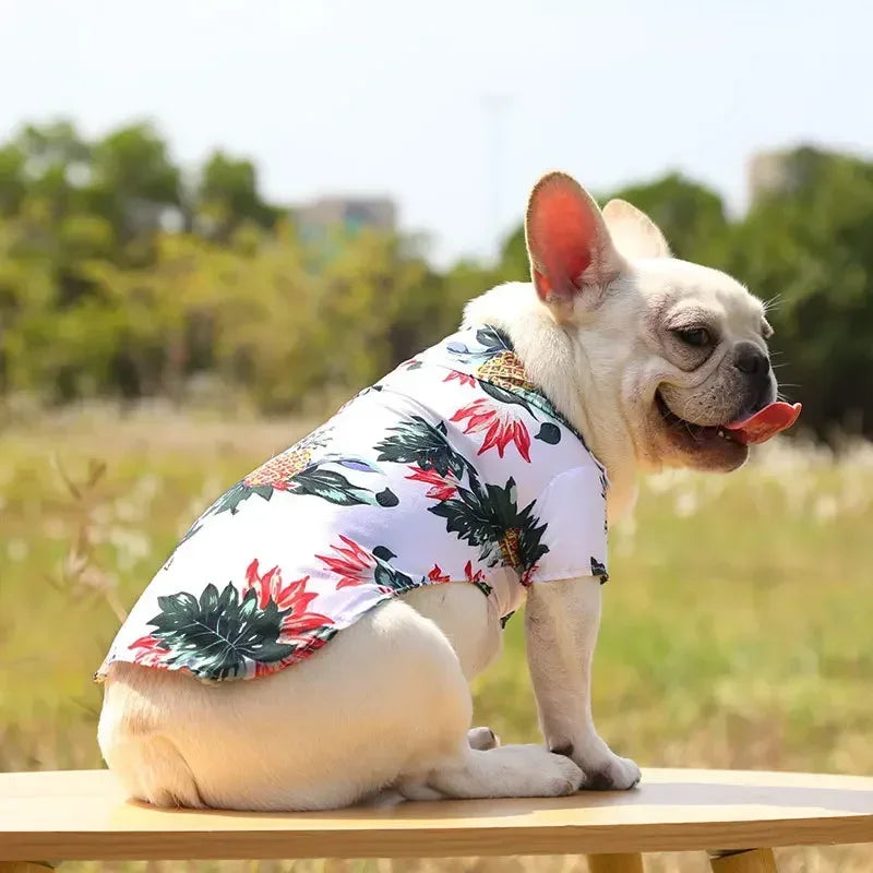 Hawaiian Beach Dog and Cat Shirt – Breezy summer style Pawnests