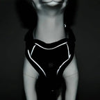 Pawnests Aura | Reflective Breathable Pet Harness & Leash Set Pawnests