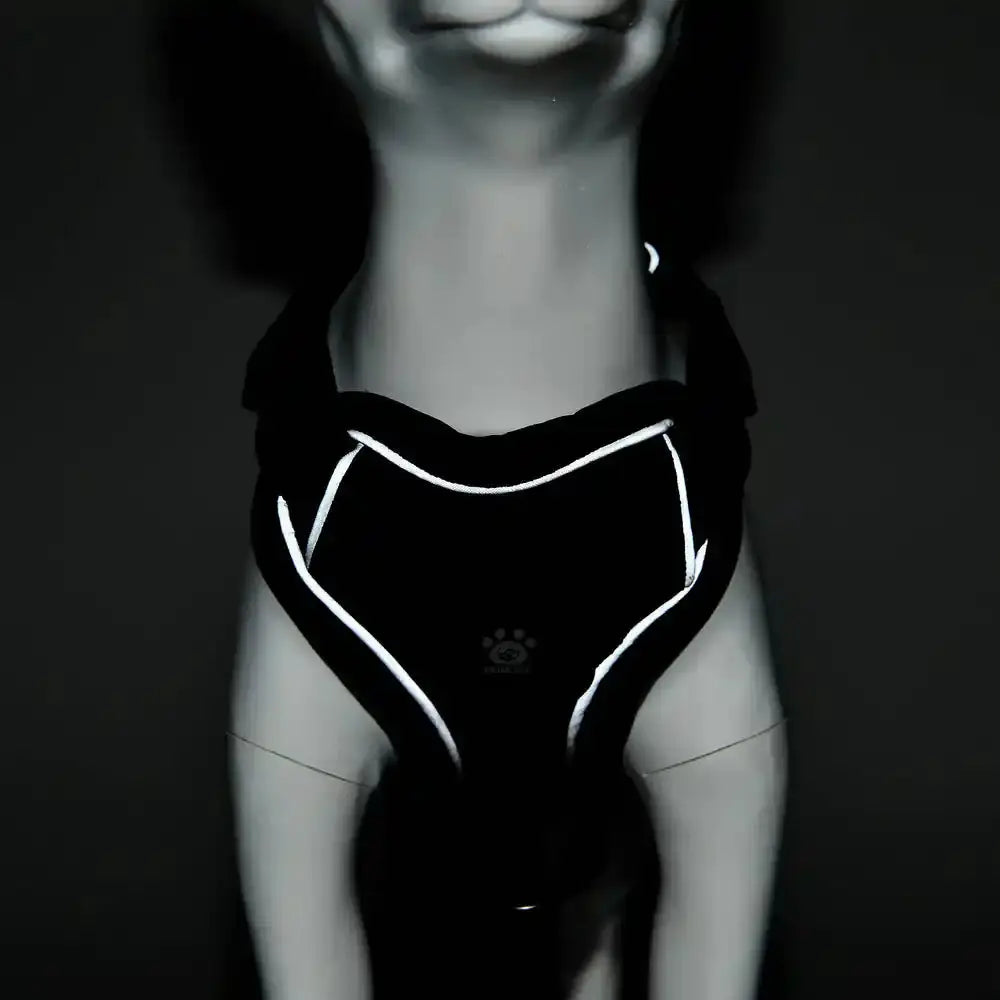 Pawnests Aura | Reflective Breathable Pet Harness & Leash Set Pawnests