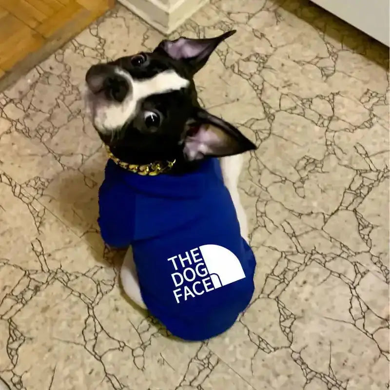 The Urban Explorer Dog Hoodie Pawnests