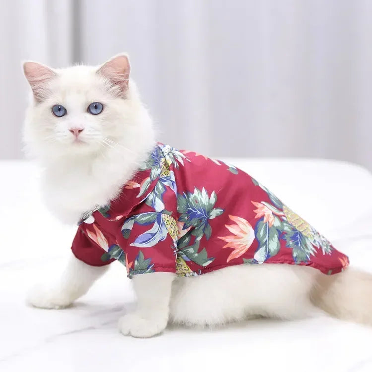 Hawaiian Beach Dog and Cat Shirt – Breezy summer style Pawnests