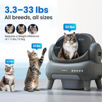 Cat weight indicator with cats of different sizes and weights displayed.