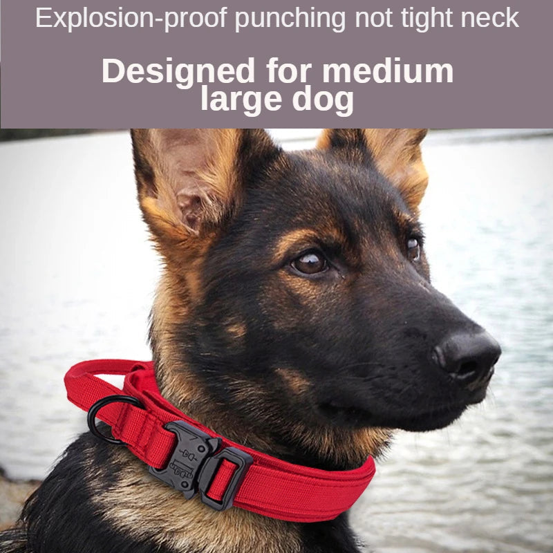 High quality Heavy-Duty Tactical Dog Collar & Leash S Pawnests