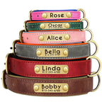 PawNests Choice: The Signature Leather Collar Best of Premium Pet Comfort Pawnests