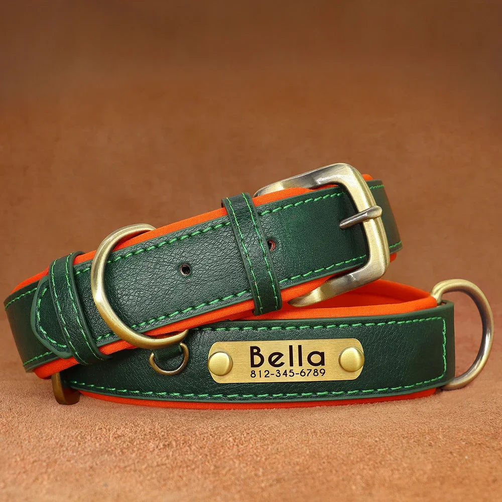 PawNests Choice: The Signature Leather Collar Best of Premium Pet Comfort Pawnests
