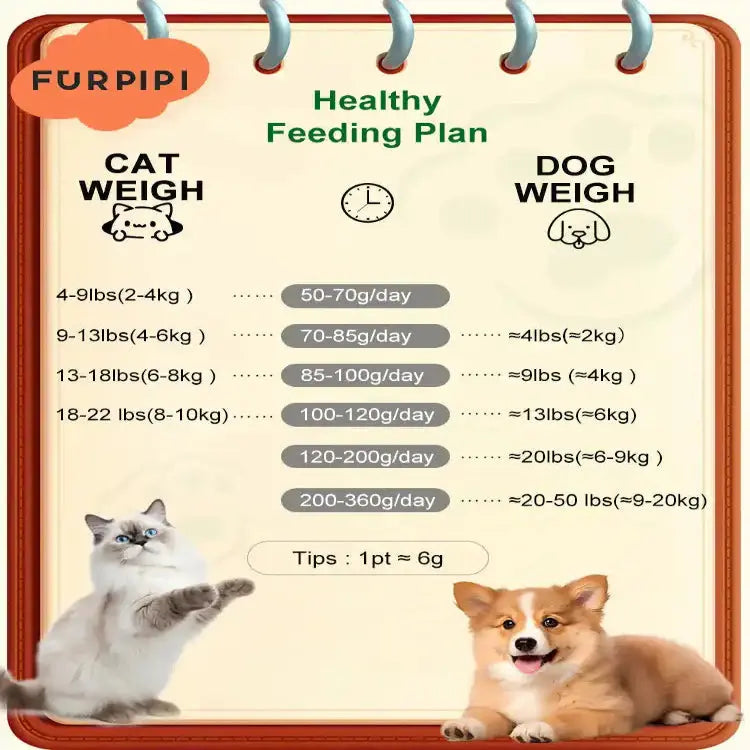 VisionFeeder | Dual-WiFi Smart Pet Feeder with Camera Pawnests