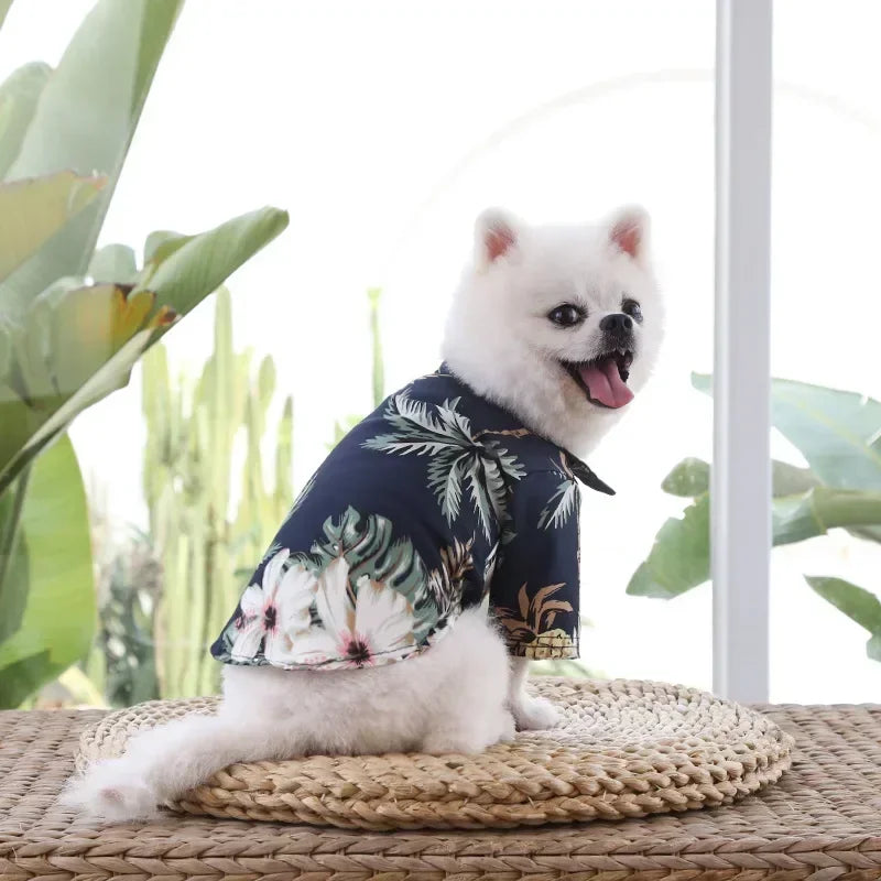 Hawaiian Beach Dog and Cat Shirt – Breezy summer style Pawnests