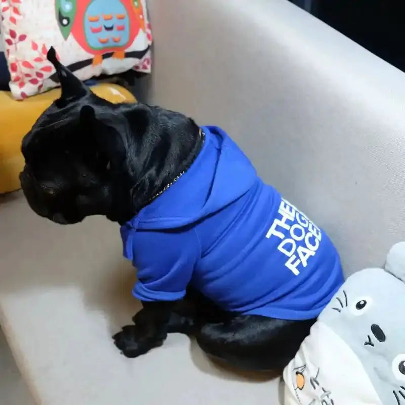 The Urban Explorer Dog Hoodie Pawnests